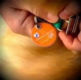 Paso 2: La medalla RecuPETS